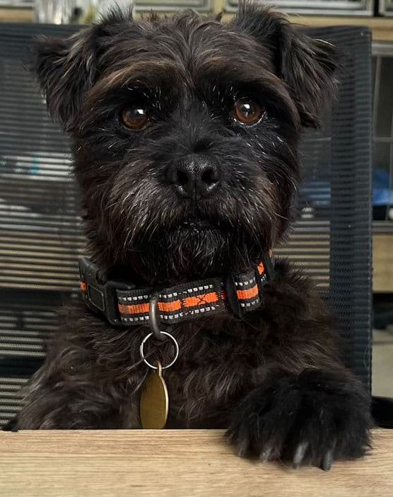 Alausí's success story