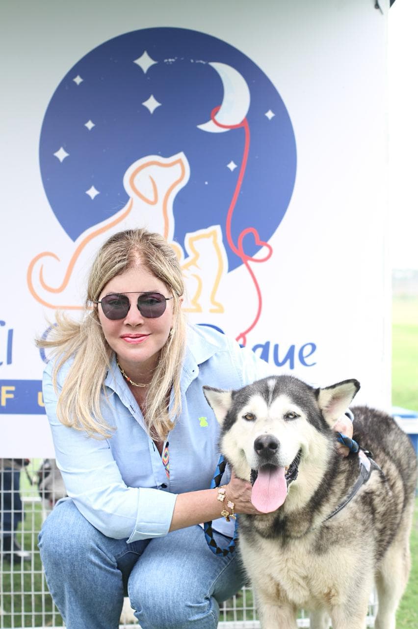 Balto's success story