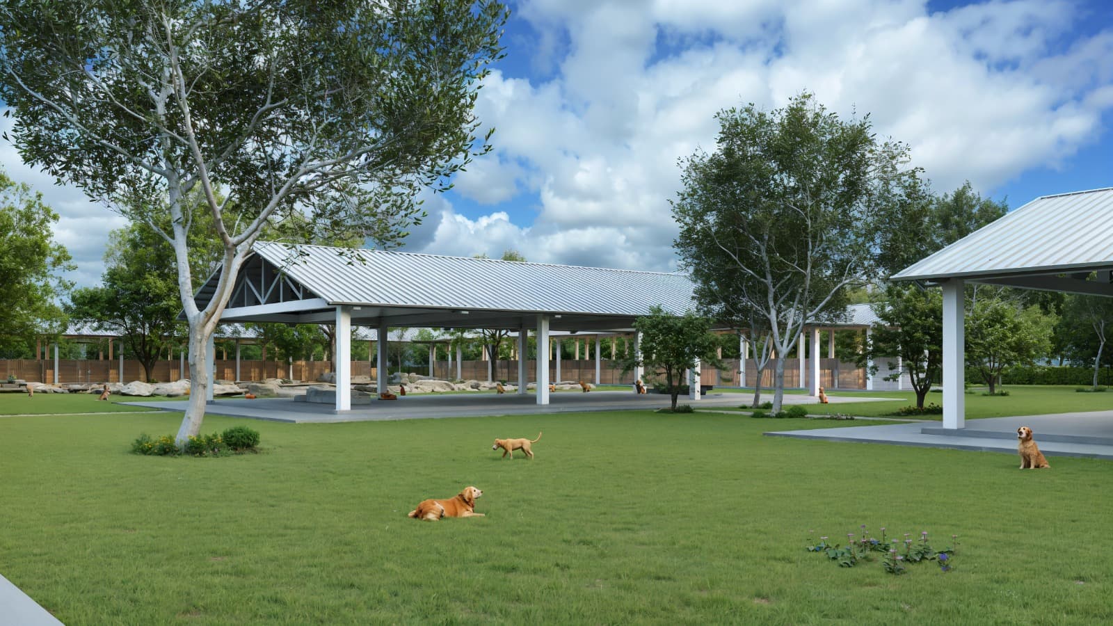 Foto del nuevo centro de rehabilitación con animales rescatados.