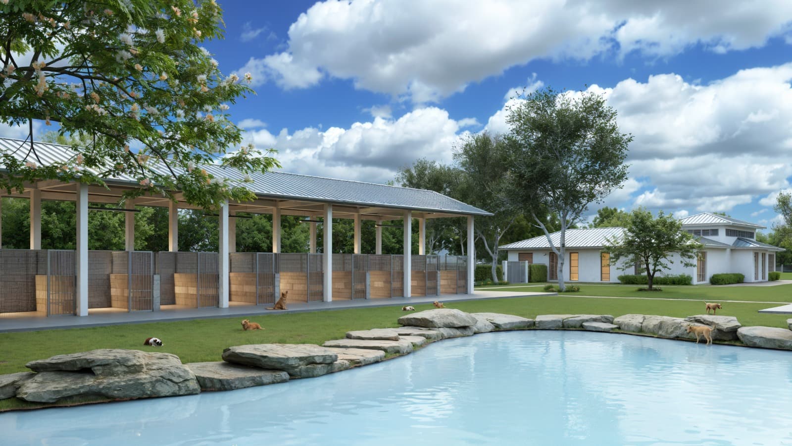 Un equipo de voluntarios trabajando con animales.