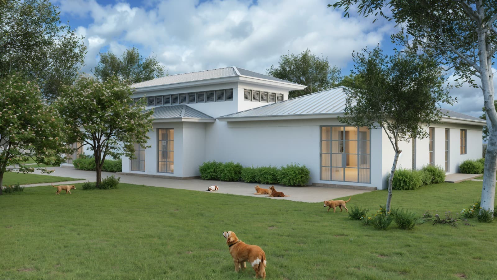 Sala de clínica veterinaria.