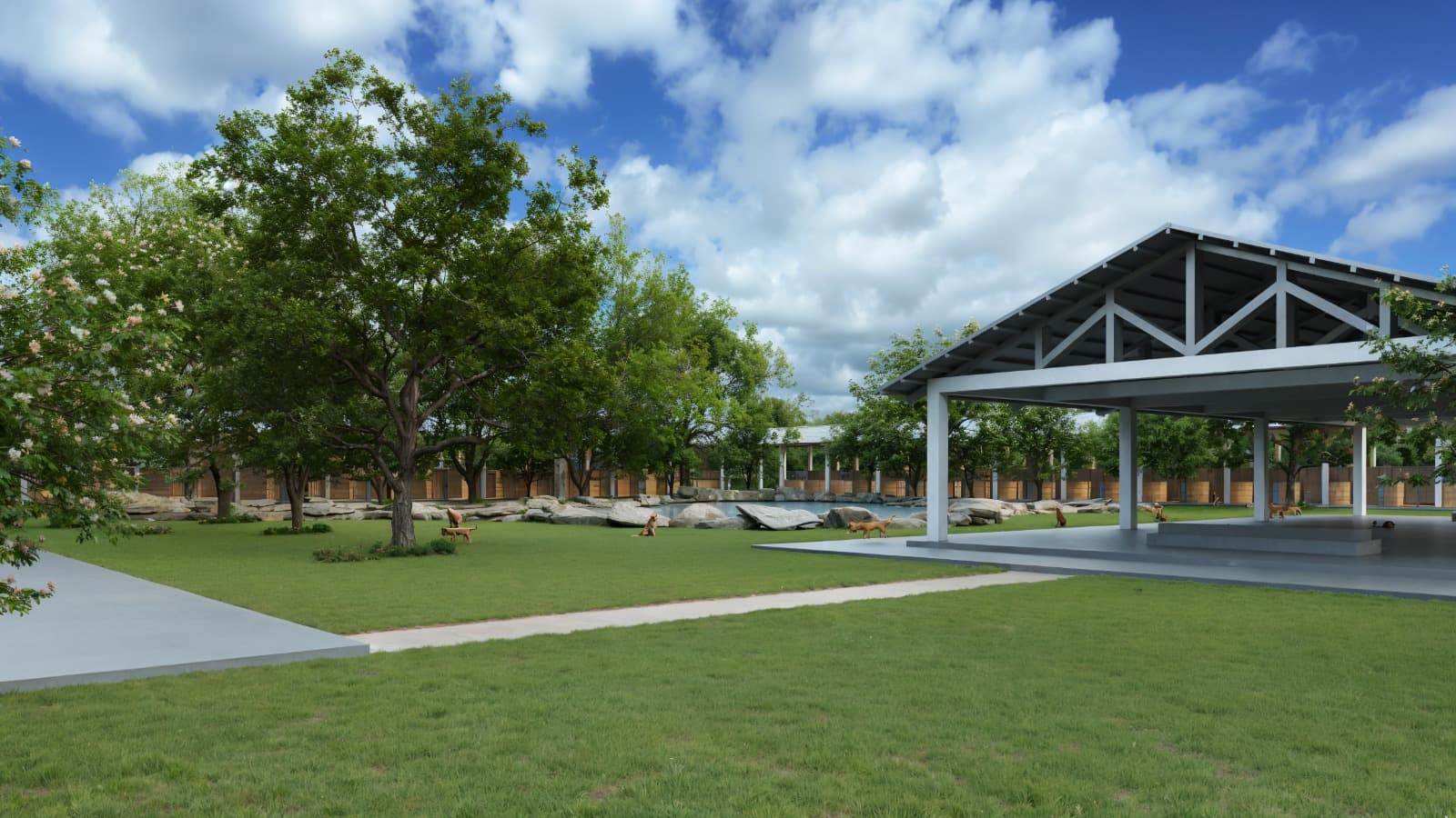 Zona de adopción donde las familias conocen a las mascotas.